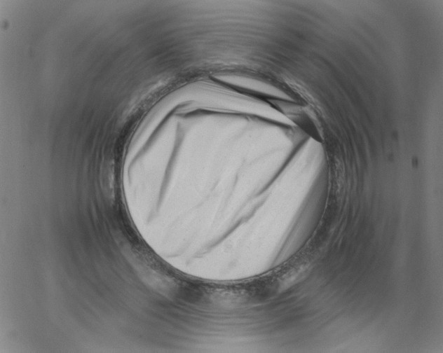 X0000066100494200604071826