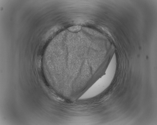 X0000066100495200604071826