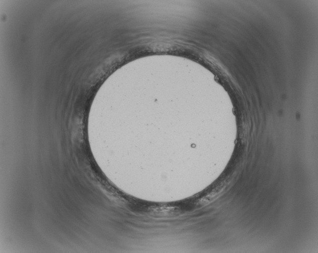 X0000066100497200604071826