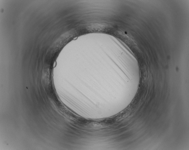 X0000066100498200604071826