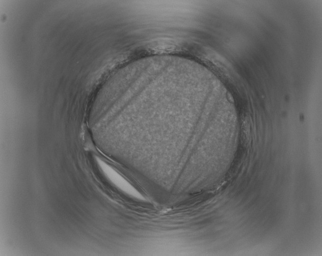 X0000066100499200604071826