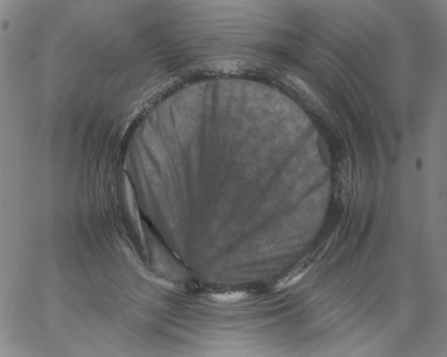 X0000066100500200604071826