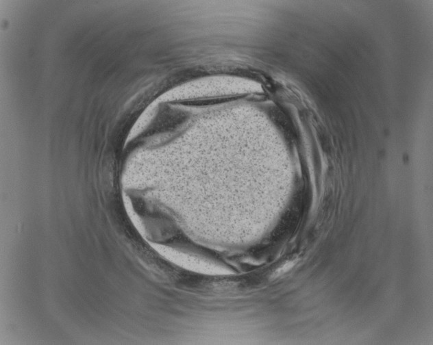 X0000066100501200604071826