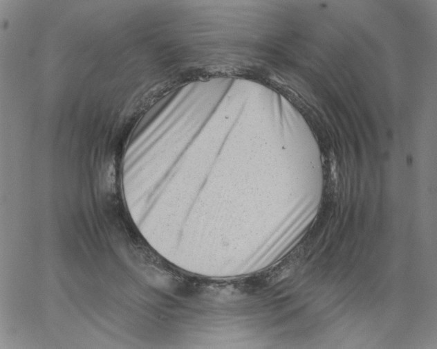 X0000066100502200604071826