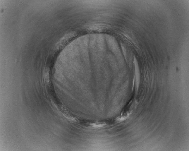 X0000066100504200604071826