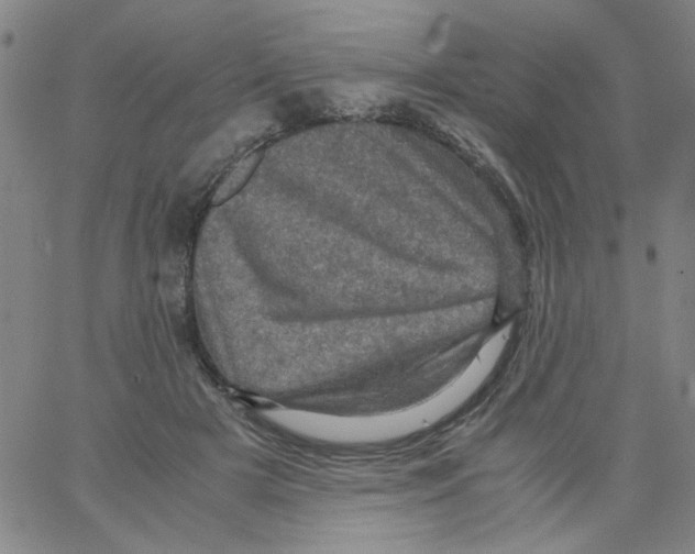 X0000066100505200604071826