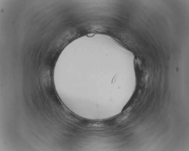 X0000066100506200604071826