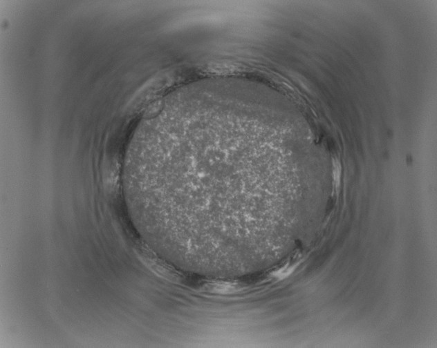 X0000066100507200604071826