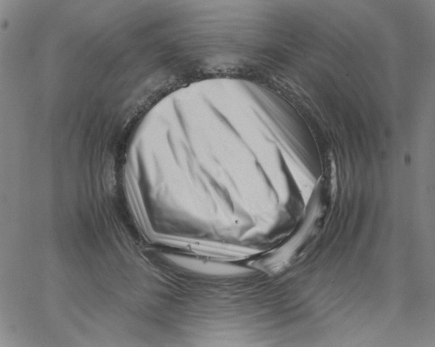 X0000066100508200604071826