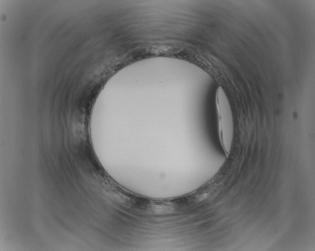 X0000066100510200604071825