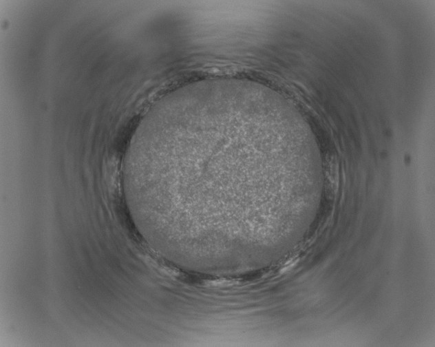 X0000066100511200604071825