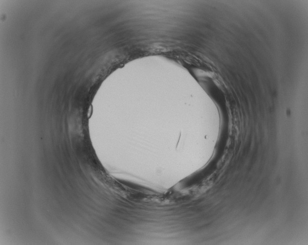 X0000066100512200604071825