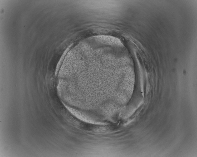 X0000066100513200604071825