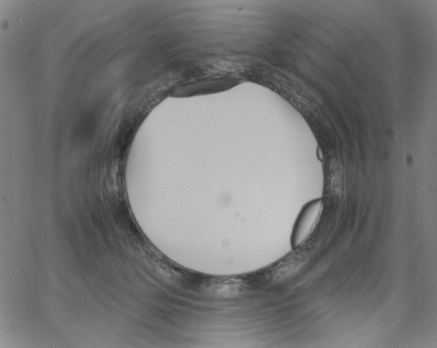 X0000066100514200604071825