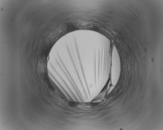 X0000066100515200604071825