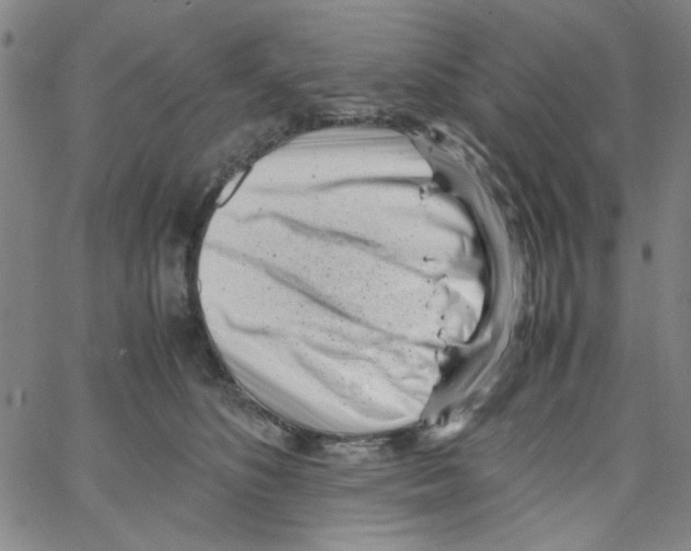 X0000066100516200604071825