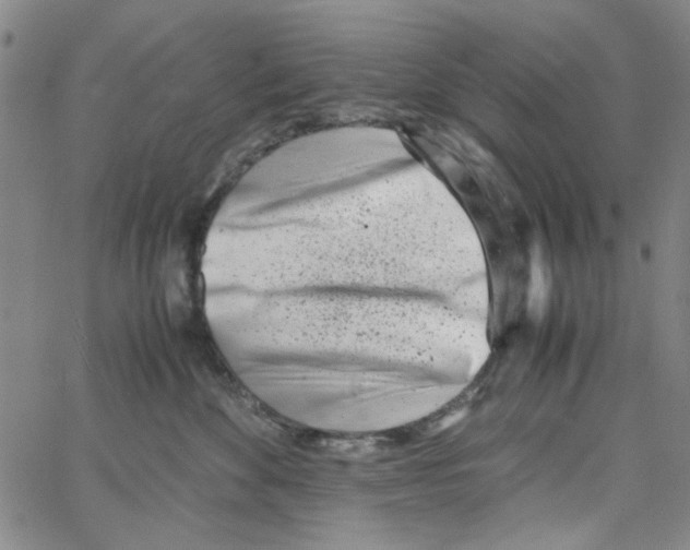 X0000066100524200604071825