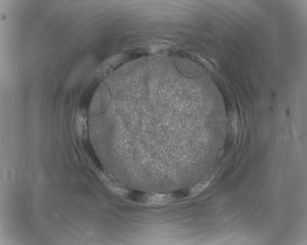 X0000066100527200604071825