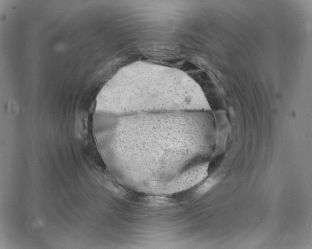 X0000066100528200604071825