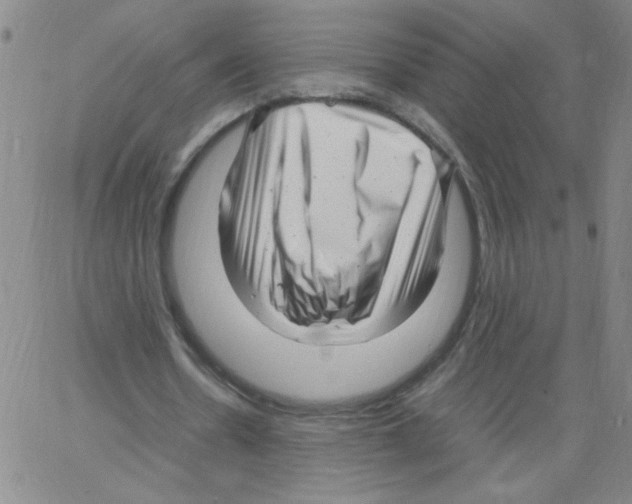 X0000066100530200604071824