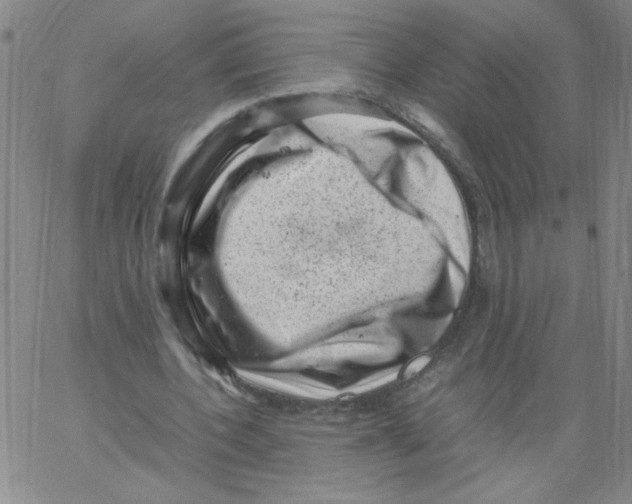 X0000066100532200604071824