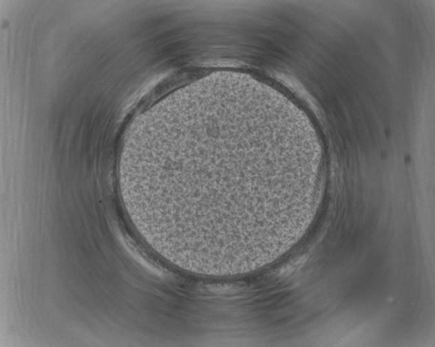 X0000066100533200604071824