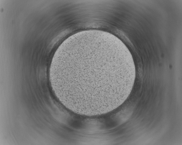 X0000066100534200604071824