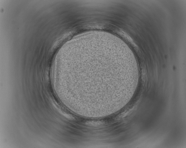 X0000066100537200604071825