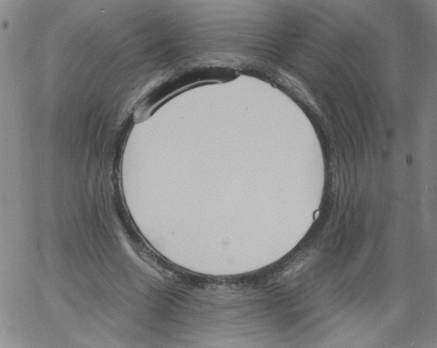 X0000066100538200604071825