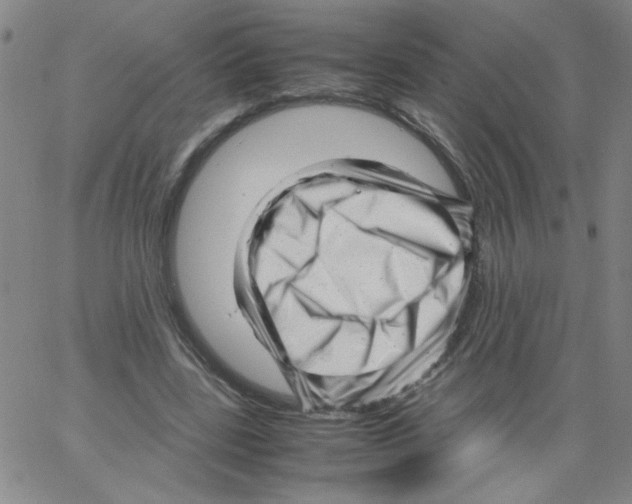 X0000066100539200604071825