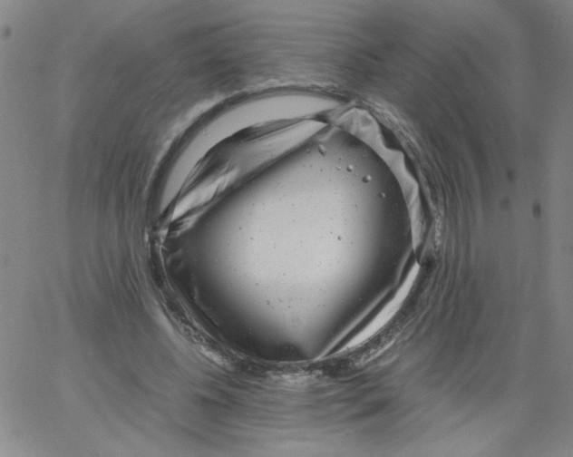 X0000066100540200604071825