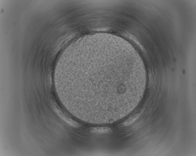 X0000066100541200604071825