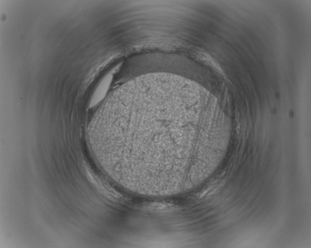 X0000066100542200604071825