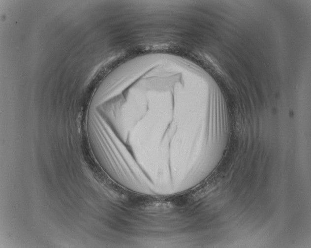 X0000066100543200604071825