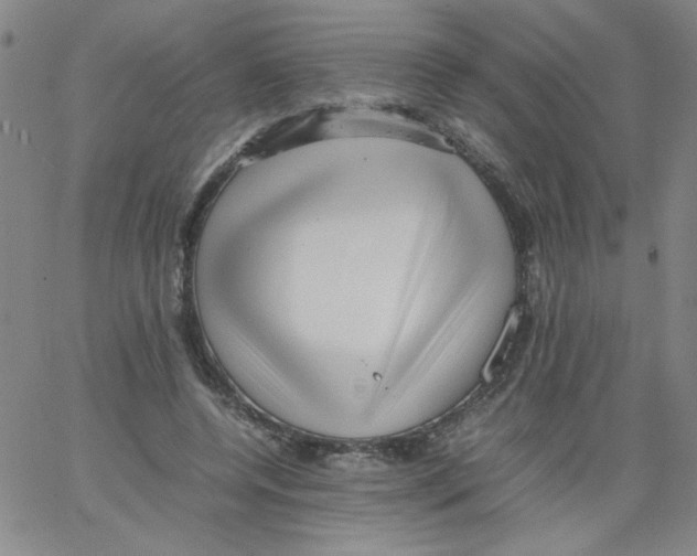 X0000066100544200604071825