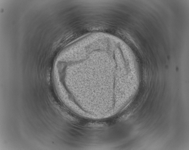 X0000066100545200604071825