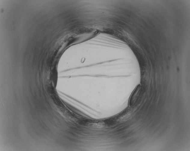 X0000066100548200604071825