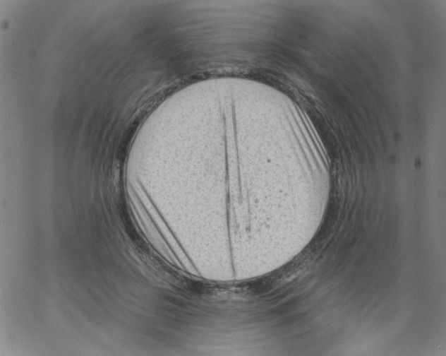 X0000066100550200604071825