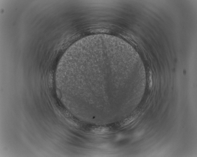 X0000066100551200604071825