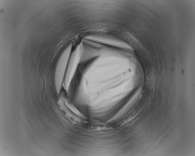 X0000066100552200604071825