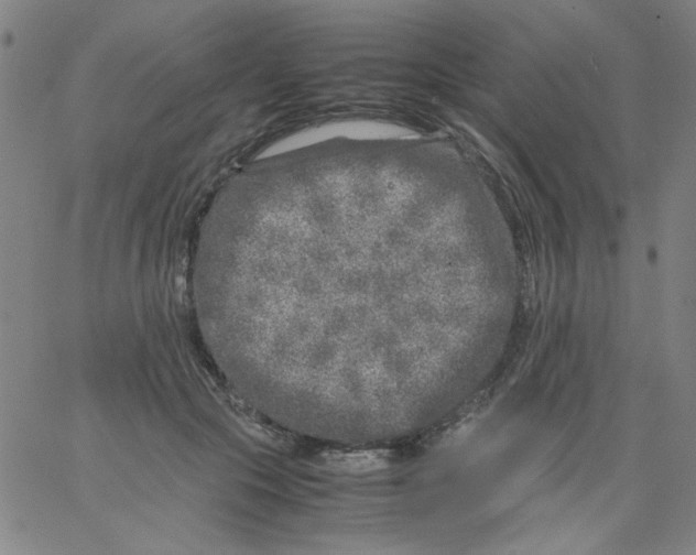 X0000066100553200604071825