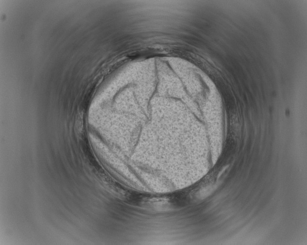 X0000066100554200604071825