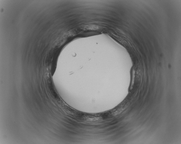 X0000066100555200604071825