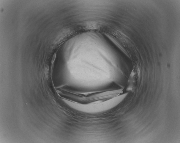 X0000066100556200604071825