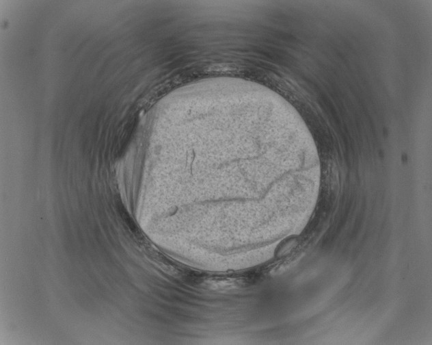 X0000066100557200604071825