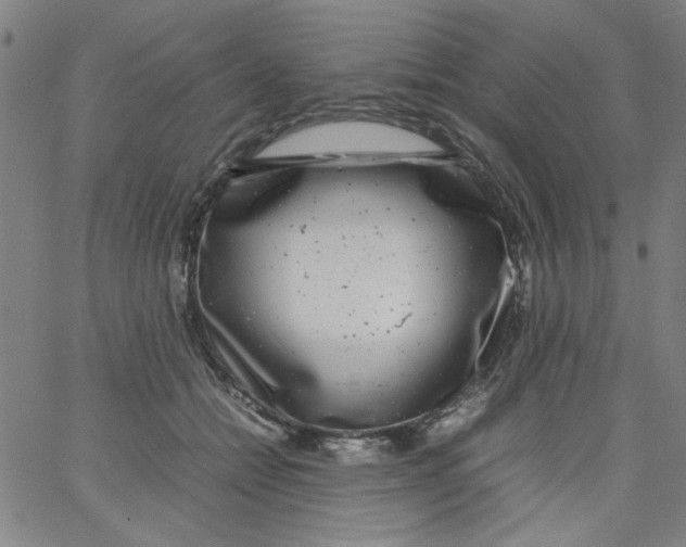 X0000066100558200604071825