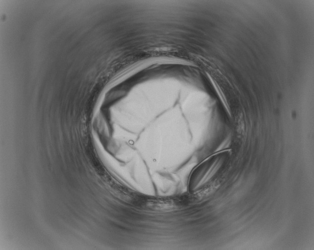 X0000066100559200604071825