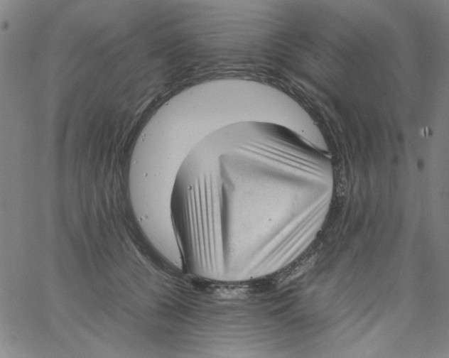 X0000066100560200604071825