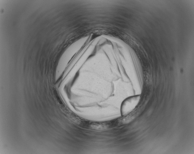 X0000066100561200604071825