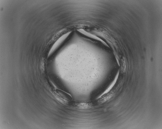 X0000066100562200604071825